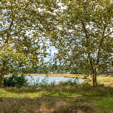 Hameau Du Courant-2 By Interhome Apartman Mimizan-Plage