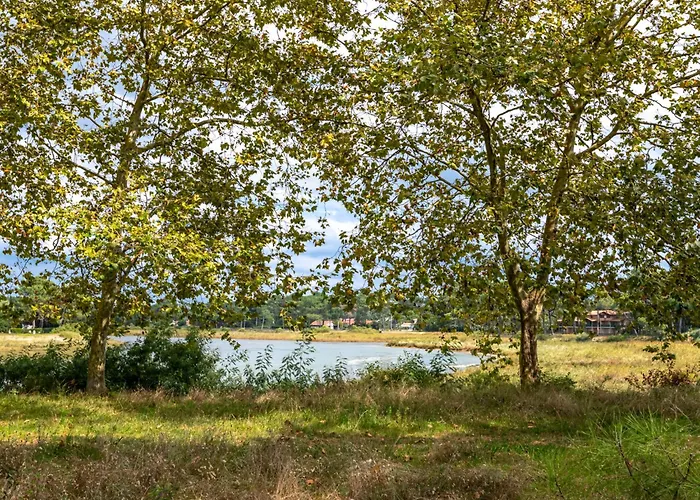 Hameau Du Courant-2 By Interhome Lejlighed Mimizan-Plage